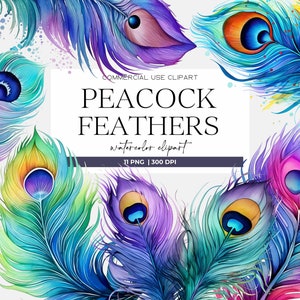 Pena de pavão clipart aquarela penas coloridas pássaro clip art lindo clipart de pavão download digital pavão png arquivos de corte de pavão