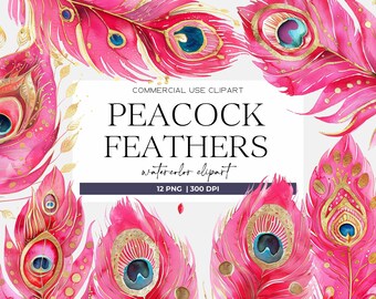 Pink Peacock Feather Clipart Watercolor Colorful Feathers Bird Clip Art Gorgeous Peacock Clipart Digital Download Peacock Png Commercial Use