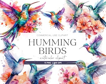 Watercolor Hummingbird Clipart Cute Colorful Bird Illustration Commercial Use Hummingbird PNG Nursery Wall Art Hummingbird Art Bird Clipart