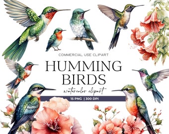Watercolor Hummingbird Clipart Cute Colorful Bird Illustration Commercial Use Hummingbird PNG Nursery Wall Art Hummingbird Art Bird Clipart