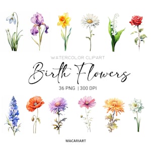 Aquarela Mês De Nascimento Flores Clipart Pacote Digital Aquarela Nascimento Flor Clipart Aquarela Floral Clipart Flor Png Uso Comercial