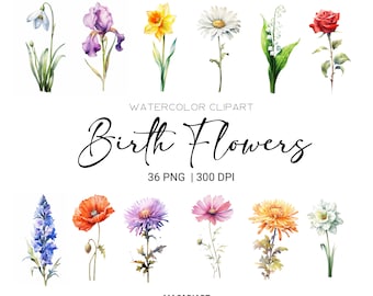 Watercolor Birth Month Flowers Clipart Bundle Digital Watercolor Birth Flower Clipart Watercolor Floral Clipart Flower Png Commercial Use