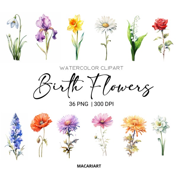 Bundle aquarelle fleurs du mois de naissance Clipart numérique de fleurs de naissance aquarelle aquarelle Floral Clipart fleur Png tout usage commercial