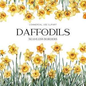 Clipart jonquille fleur jaune Clipart mars naissance fleur jonquille aquarelle cadre floral Seamles frontière Clipart été jonquille printemps jonquille Png