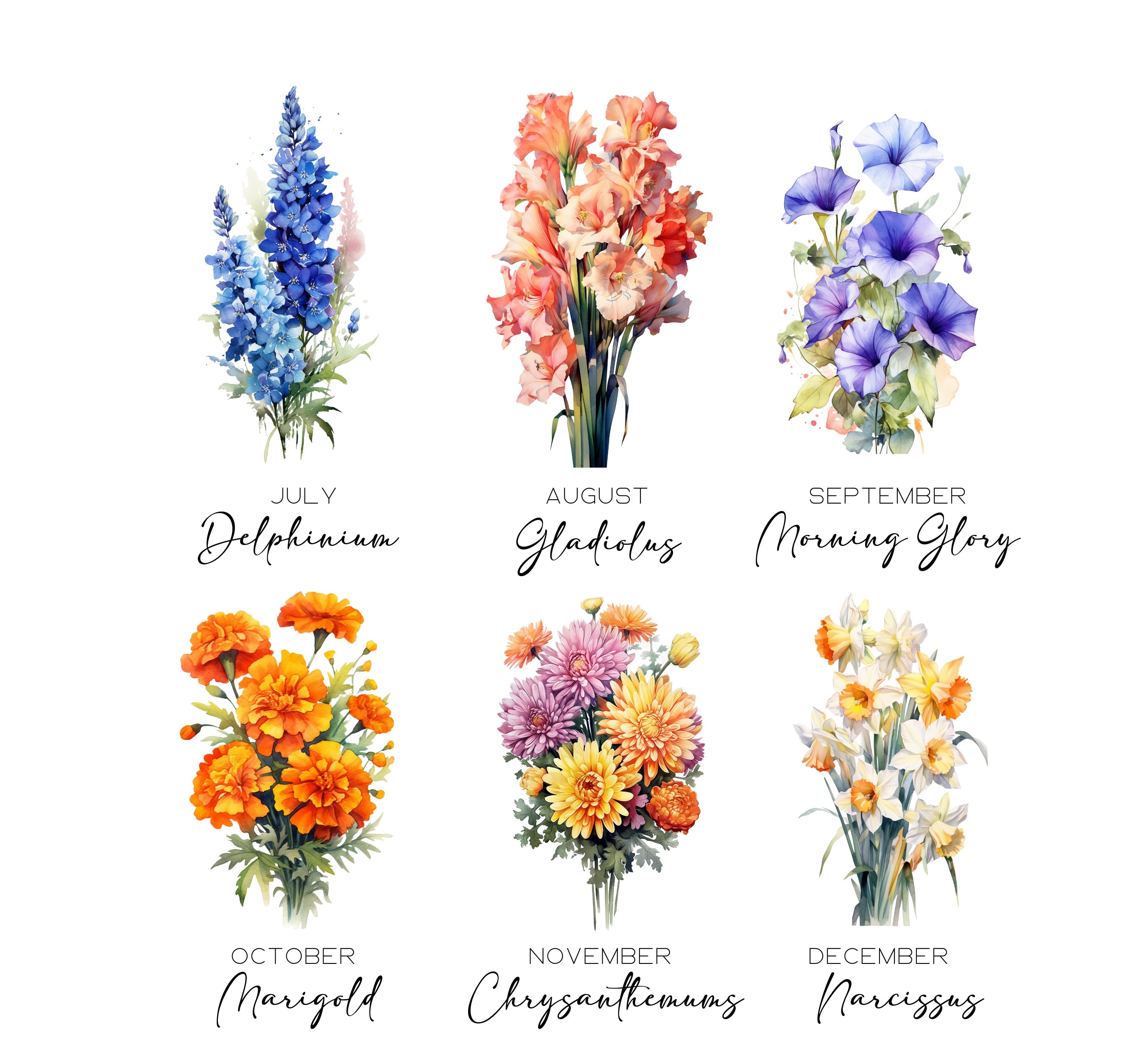 Watercolor Birth Month Flowers Clipart Bundle Digital Watercolor Birth