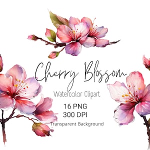 Aquarell Kirschblüte Clipart Aquarell Blumen Kirschblüte Baum Aquarell Wand Kunst Sofort Download Clipart Bundle Beliebte PNG