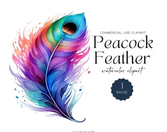 Peacock Feather Clipart Watercolor Colorful Feathers Bird Clip Art Gorgeous Peacock Clipart Digital Download Peacock Png Peacock Cut Files