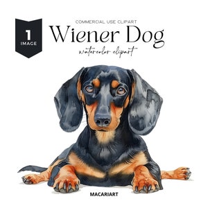 Dackel Hund Clipart, Dackel Hund, Dackel Hund, Dackel Hund, Dackel Hund, Dackel Hund, Dackel Hund, Dackel Hund, Doxie Mama, Dackel Hund, Dackel Hund