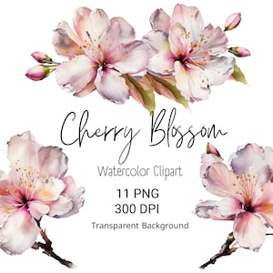 Aquarell Kirschblüte Clipart Aquarell Blumen Kirschblüte Baum Aquarell Wand Kunst Sofort Download Clipart Bundle Beliebte PNG