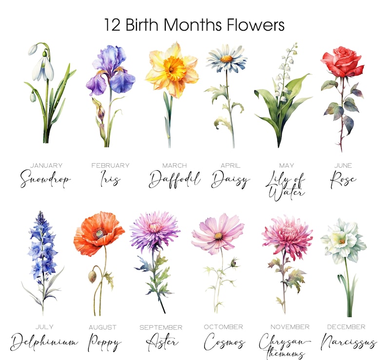 Watercolor Birth Month Flowers Clipart Bundle Digital - Etsy Australia