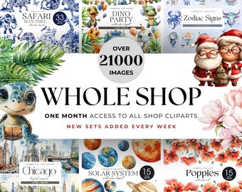 Complete winkel clipart bundel maandpas Complete winkel bundel All Access Clip Art Pass Toegang voor één maand Mega PNG Complete winkel maandpas