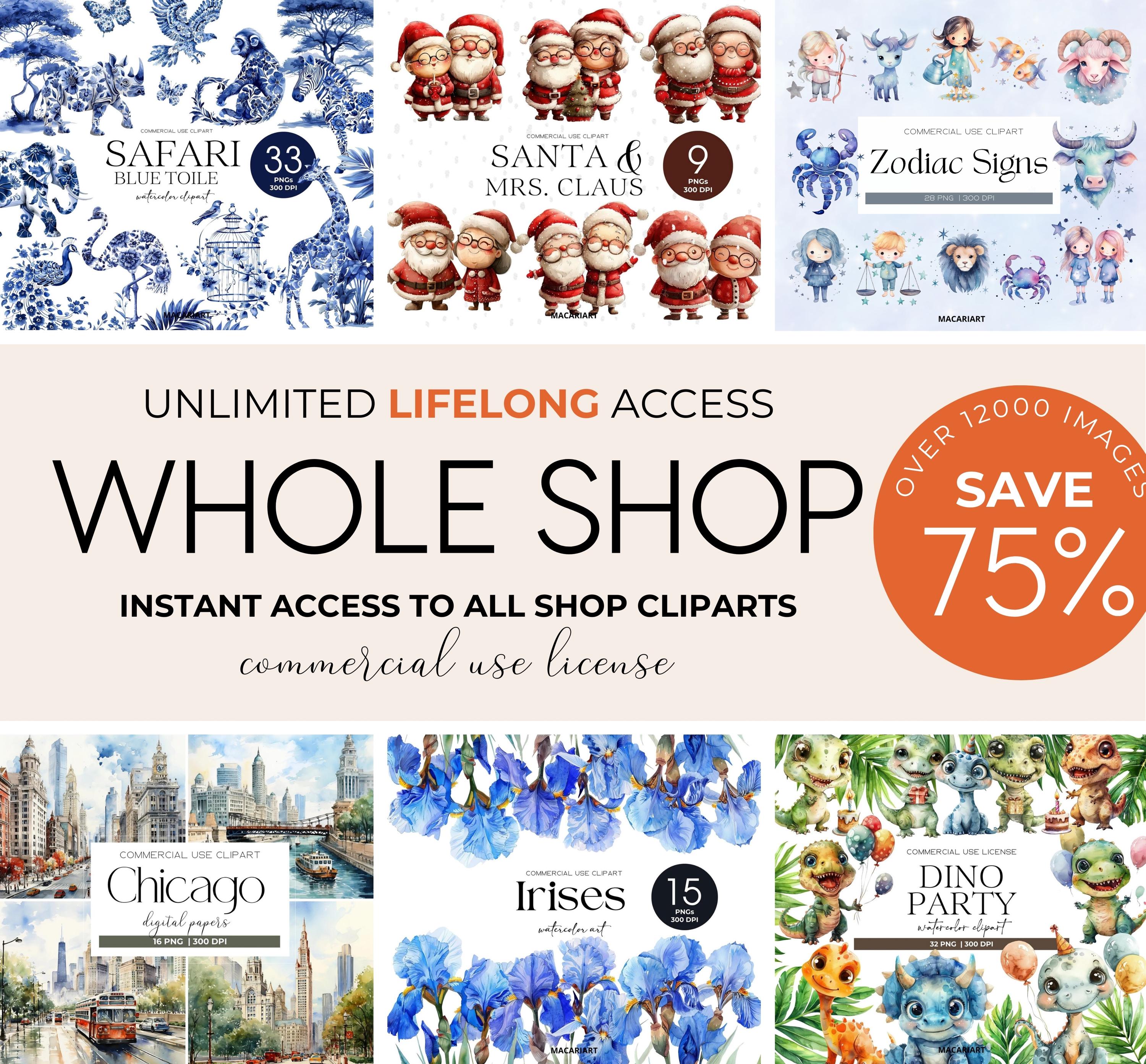 Entire Shop Bundle Unlimited Lifetime Access Whole Shop Clipart Bundle Mega Clipart PNG Bundle All Past And Future Designs Digital Download