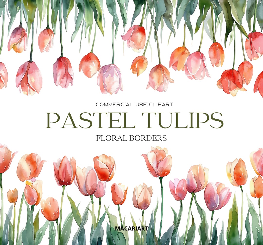 Watercolor Tulips Clipart Spring Flowers Pastel Tulip Png Watercolor ...