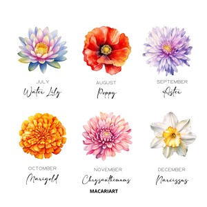 K&ouml;nnte beinhalten: Aquarellillustration von sechs verschiedenen Blumen: Seerose, Mohnblume, Aster, Ringelblume, Chrysantheme und Narzisse. Jede Blume ist mit ihrem Namen und dem Bl&uuml;hmonat beschriftet. Der Name des K&uuml;nstlers, MACARIART, steht unten.