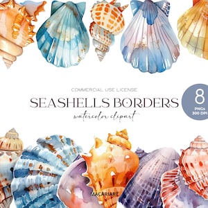 Seashell Border Clipart Sea Theme Border Ocean Decor para hacer tarjetas Seashell Png Nautical Clipart Seashell Frame Summer Clipart Coral Reef