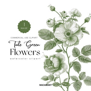Bloemen groen toile de jouy-clipart aquarel toile de-jouy bloemen clipart uitnodiging toile de jouy bruiloft bruids douche png chinoiserie-clipart