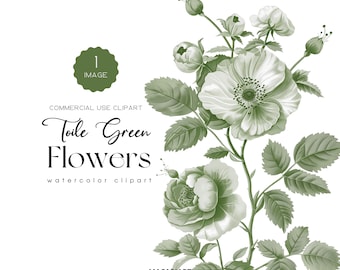 Floral Verde Toile De Jouy Clipart Acuarela Toile Flores Clipart Invitación Toile De Jouy Boda Ducha Nupcial Png Chinoiserie Clipart