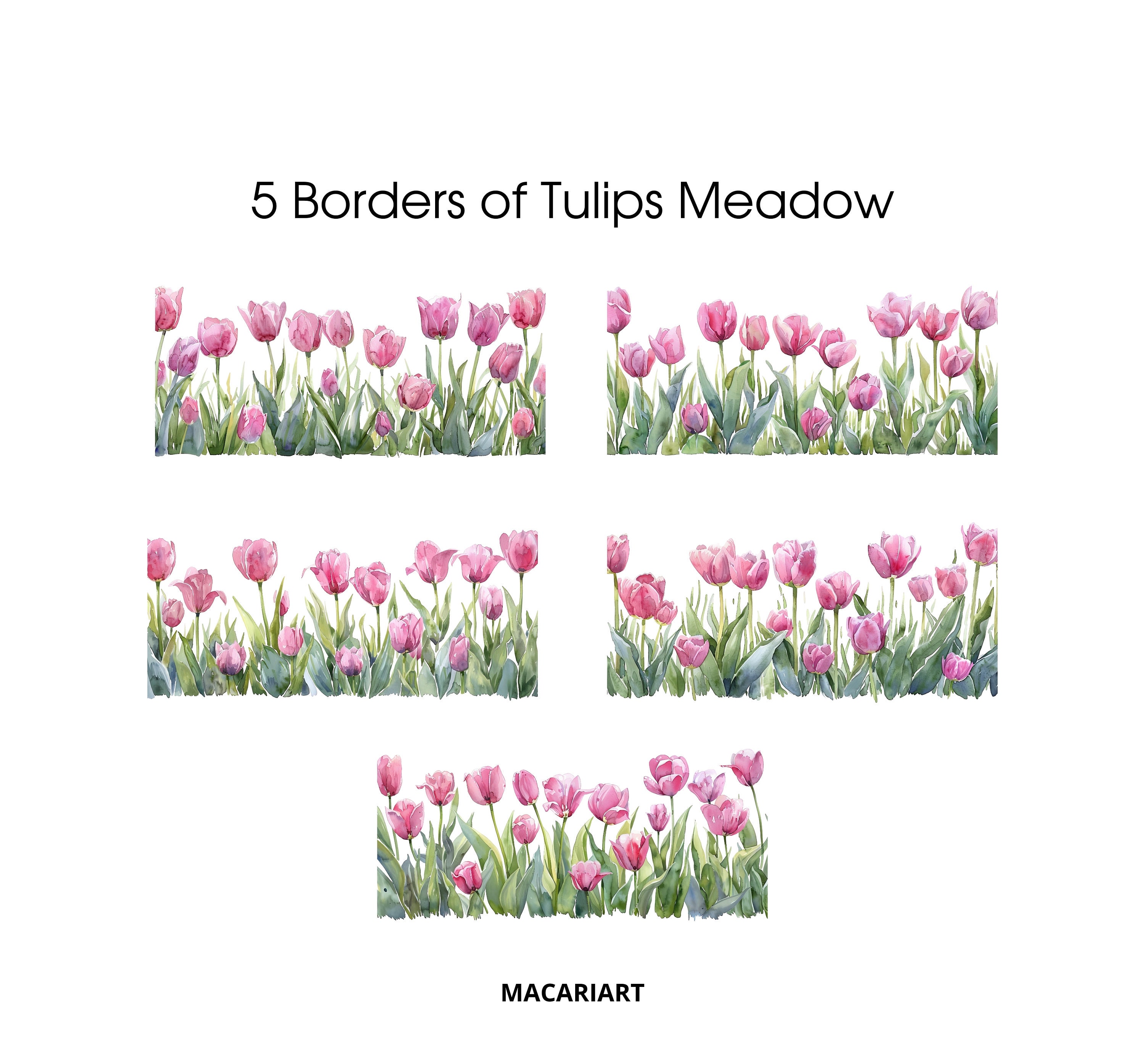 Watercolor Tulips Clipart Spring Flowers Pink Tulip Png Watercolor ...