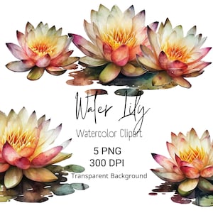 Aquarel waterlelie clipart aquarel bloemen lotus muur decor aquarel muur kunst Instant Download clipart bundel populaire PNG waterlelie