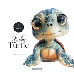Niedliche Baby Schildkröte Ozean Tiere Png Meeresschildkröte Aquarell Clipart Kinderzimmer Kunst Party Einladung Geburtstag Luftballons Baby Tiere Kleine Schildkröte