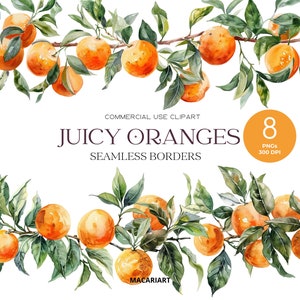 Ghirlanda arancione Clipart Acquerello Frutta Bordo Agrumi Clipart Cornice arancione Png Bordo senza giunte arancione Corona Arancione Download digitale
