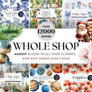 Whole Shop Clipart Bundle Monthly Pass Entire Shop Bundle All Access Clip Art Pass One Month Access Mega PNG Whole Store Monthly Access