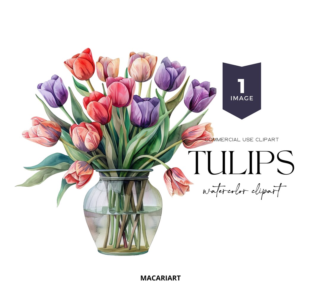 Watercolor Tulips in Vase Clipart spring Tulips Floral Clipart ...