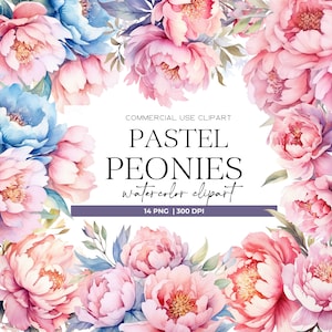 Peonía acuarela clipart elegante boho flores romántica boda floral clipart acuarela flores png floral clipart peonía ilustración