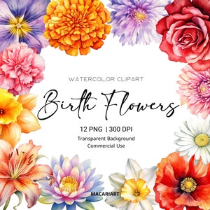 Pacchetto di clipart dei fiori del mese di nascita dell'acquerello Clipart digitale del fiore di nascita dell'acquerello Clipart floreale dell'acquerello fiore Png uso commerciale