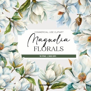 Blanco Magnolia Flor Acuarela Clipart Rosa Floral Boda Clipart Magnolia Romántica Clipart Floral Acuarela Diseño Elemento Magnolia Png