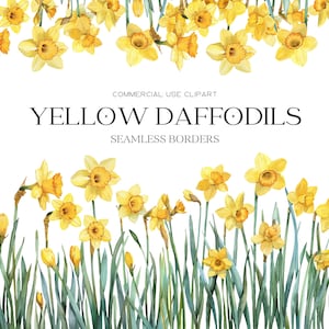 Clipart jonquille aquarelle fleur jaune Clipart mars fleur de naissance jonquille jaune aquarelle Clipart PNG bordure transparente florale