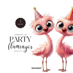 Party Flamingos Clipart Aquarell Geburtstag Baby Shower Png Flamingo Geburtstagseinladung Rosa Flamingo Clipart Kindergeburtstagsparty Kinderzimmer