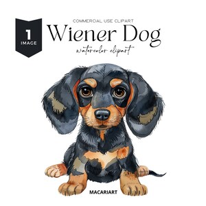 Dackel Hund Clipart, Dackel Hund, Dackel Hund, Dackel Hund, Dackel Hund, Dackel Hund, Dackel Hund, Dackel Hund, Doxie Mama, Dackel Hund, Dackel Hund