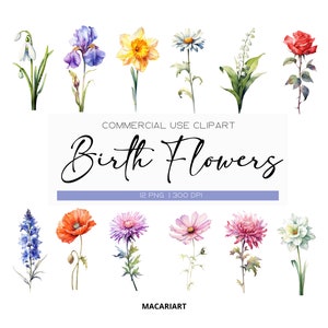 Aquarela Mês De Nascimento Flores Clipart Pacote Digital Aquarela Nascimento Flor Clipart Aquarela Floral Clipart Flor Png Uso Comercial