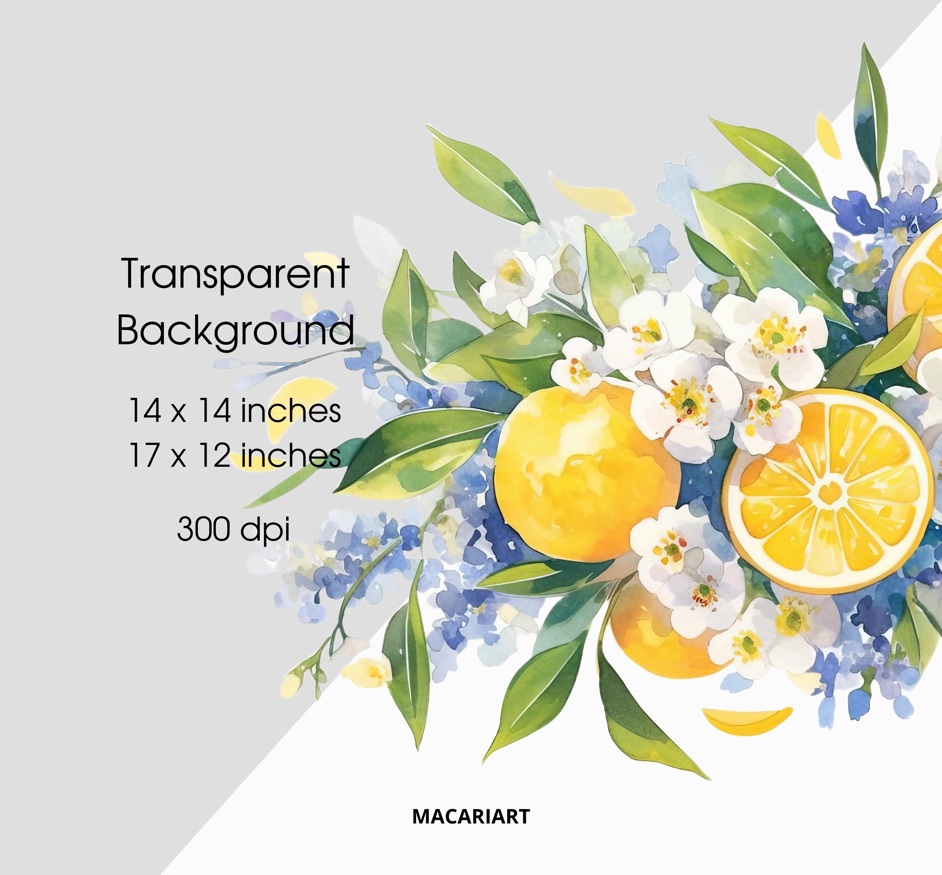 Floral Citrus Clipart, Mediterranean Lemon Clipart, Watercolor Citrus ...