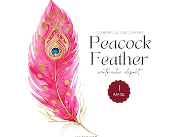 Pink Peacock Feather Clipart Watercolor Colorful Feathers Bird Clip Art Gorgeous Peacock Clipart Digital Download Peacock Png Commercial Use