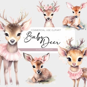 Watercolor Baby Deer Clipart Woodland Baby Animal Clipart Cute Girl Deer Woodland Baby Shower Clipart Bundle Animal Clipart Baby Fawn Png