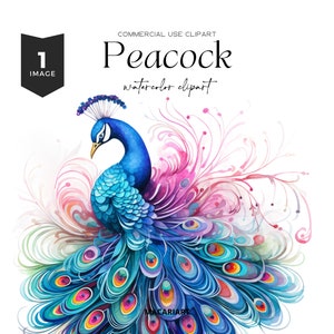 Pavão Clipart Aquarela Pássaro Boho Pavão Arte Pavão Penas Pavão Png Cute Animal Clipart Sublimação PNG Download Digital