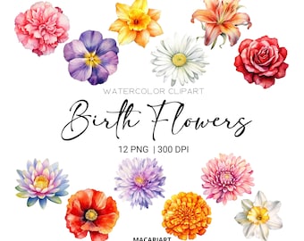 Watercolor Birth Month Flowers Clipart Bundle Digital Watercolor Birth Flower Clipart Watercolor Floral Clipart Flower Png Commercial Use