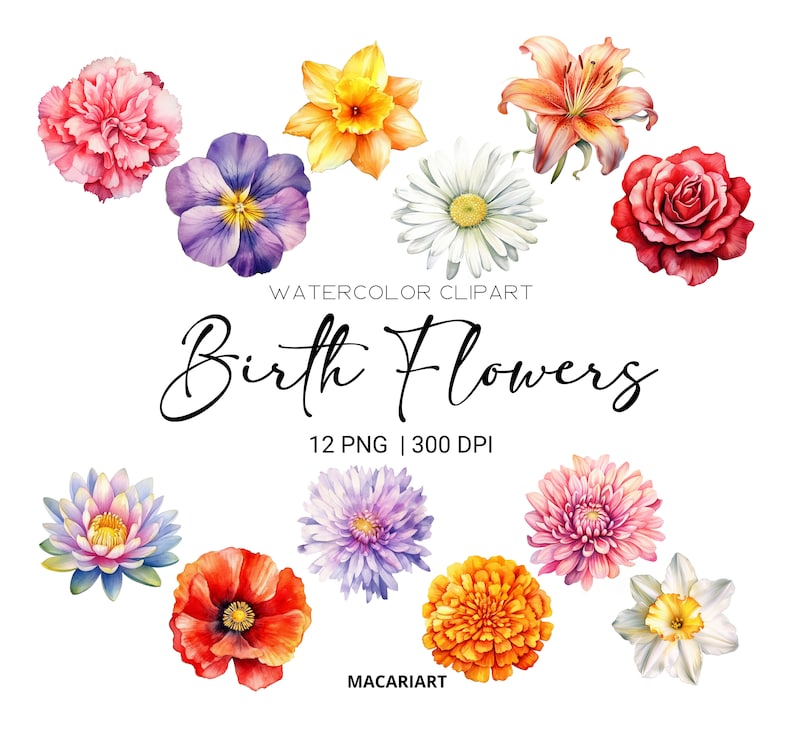 K&ouml;nnte beinhalten: Aquarell-Clipart mit einer Sammlung von Geburtsblumen in verschiedenen Farben. Das Bild zeigt eine Vielzahl von Blumen wie Rosen, Lilien und G&auml;nsebl&uuml;mchen. Der Text auf dem Bild lautet "Birth Flowers" und "12 PNG | 300 DPI".