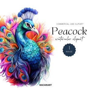 Pavone Clipart Acquerello Uccello Boho Pavone Arte Piume di pavone Pavone Png Animale carino Clipart Sublimazione PNG Download digitale