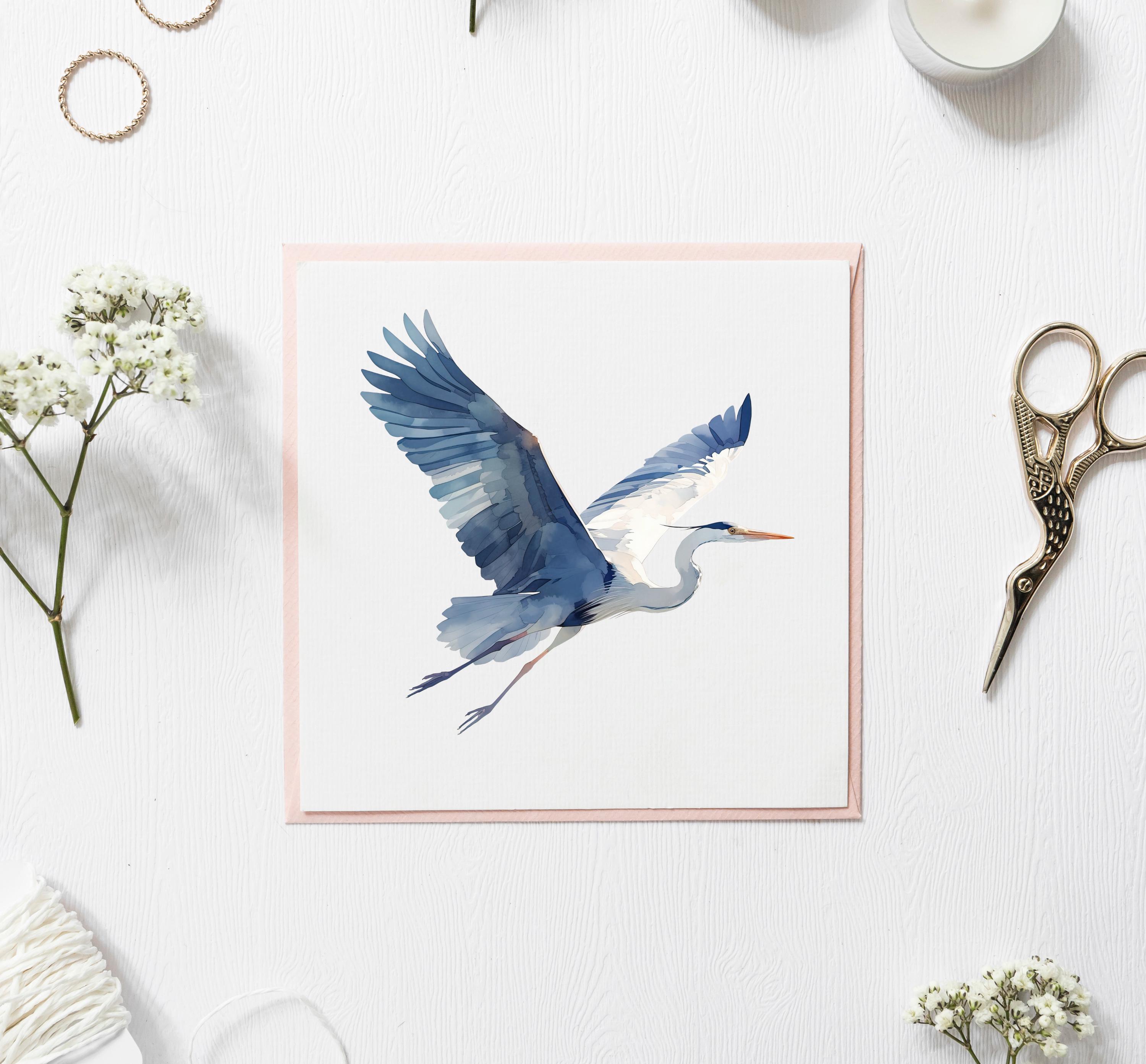 アオサギのクリップアート、水彩サギのPNG、水鳥のクリップアート