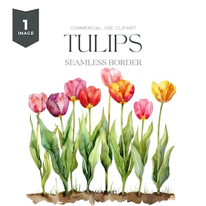 Watercolor Tulips Clipart Spring Flowers Tulip Png Watercolor Flower Clipart Spring Floral Clipart Wedding Invite Commercial Use Digital Png