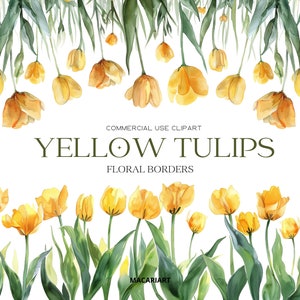 Acquerello Tulipani Clipart Fiori di primavera Tulipano giallo Png Acquerello Fiore Clipart Primavera Floreale Clipart Matrimonio Invito Uso commerciale