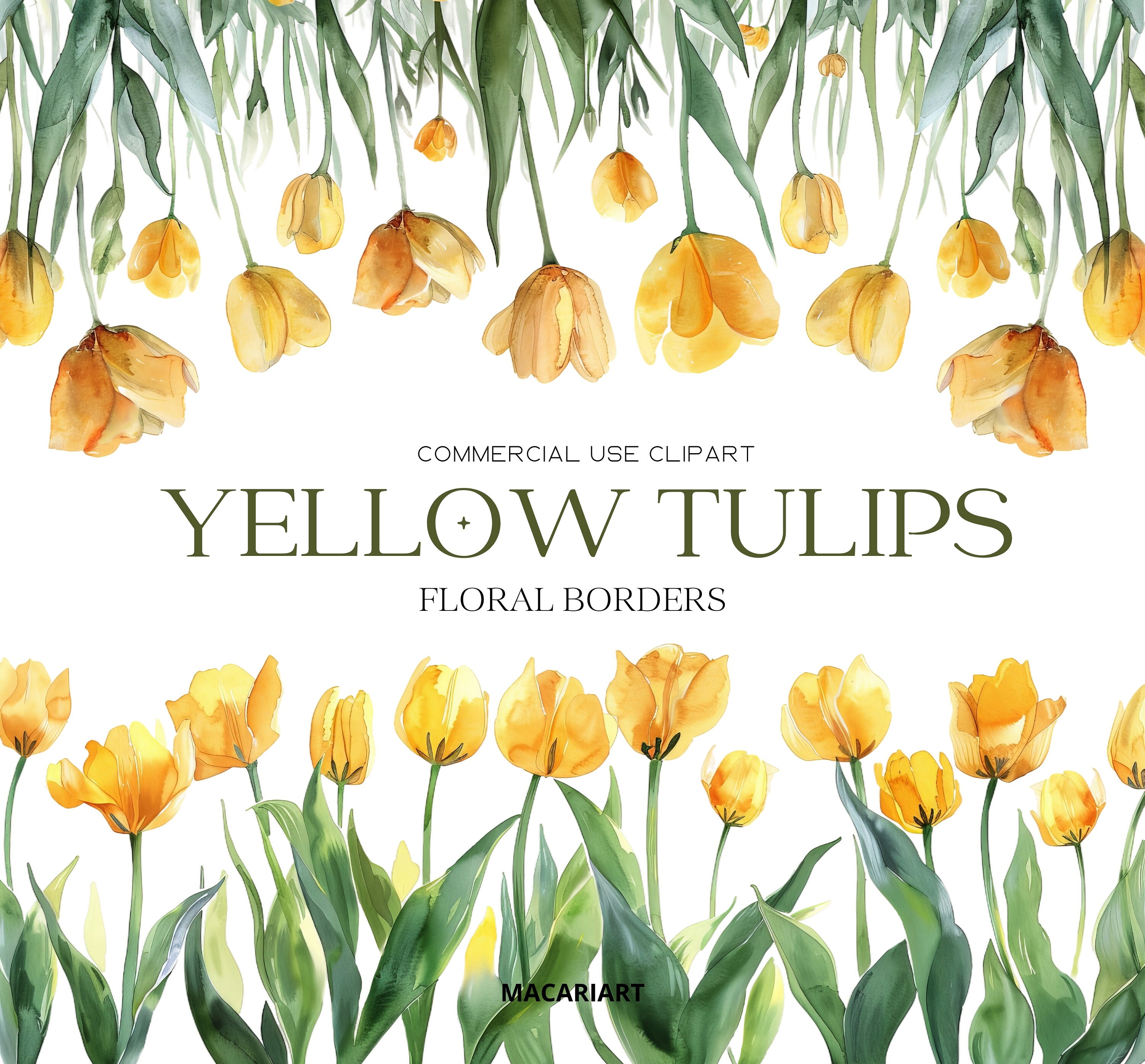 Watercolor Tulips Clipart Spring Flowers Yellow Tulip Png Watercolor Flower Clipart Spring Floral Clipart Wedding Invite Commercial Use