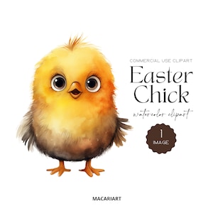 Pollito de Pascua Clipart Lindos Pollitos Bebé Cesta de Pascua Clipart Pascua Acuarela Png Huevos de Pascua Pollito de Pascua PNG Tarjeta Haciendo Scrapbook