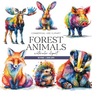 Clipart aquarelle animaux de la forêt Clipart animaux de la forêt mignons animaux de la forêt renard Png animaux sauvages usage Commercial Clipart Transparent
