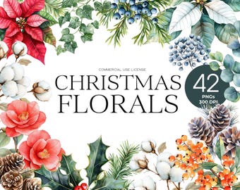 May include: A collection of 42 watercolour Christmas floral illustrations, including holly, berries, pine cones, cotton, and poinsettia. The illustrations are perfect for creating festive designs for cards, invitations, and other projects.