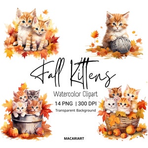 Aquarel herfst clipart herfst kittens clipart Halloween kat aquarel clipart Halloween digitale Thanksgiving clipart Hallo herfst png herfst
