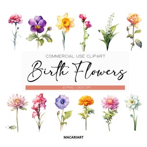 Pacchetto di clipart dei fiori del mese di nascita dell'acquerello Clipart digitale del fiore di nascita dell'acquerello Clipart floreale dell'acquerello fiore Png uso commerciale